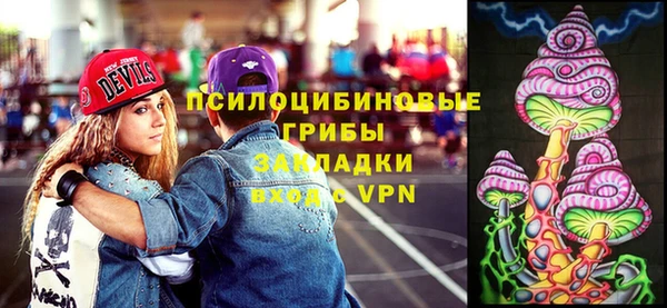 apvp Костерёво