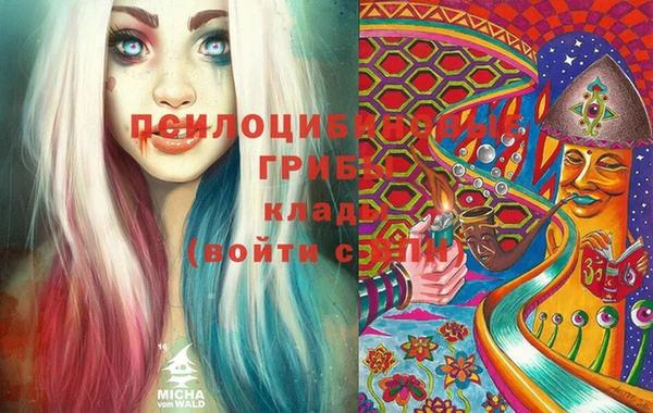каннабис Коряжма